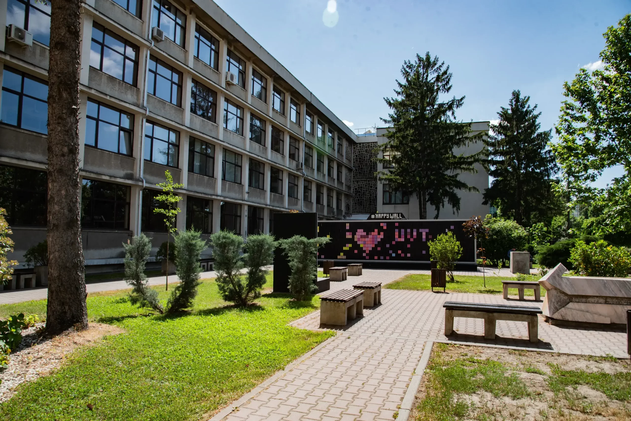 DSC_6545 (1)